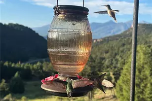 4351 Co Rd 12, Cotopaxi, CO 81223 - Photo 13