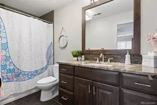 6719 Tremolite Dr, Castle Rock, CO 80108 - Photo 35