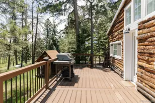 6744 Marshmerry Ln, Evergreen, CO 80439 - Photo 23