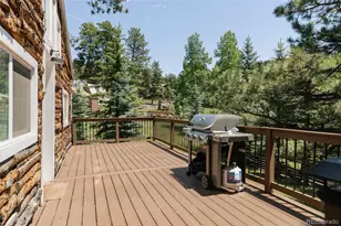 6744 Marshmerry Ln, Evergreen, CO 80439 - Photo 47