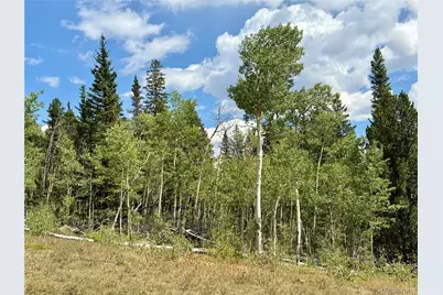 000 Beaver Creek Road, Alma, CO 80420 - Photo 33