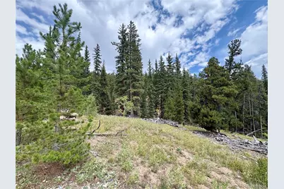 000 Beaver Creek Road, Alma, CO 80420 - Photo 15