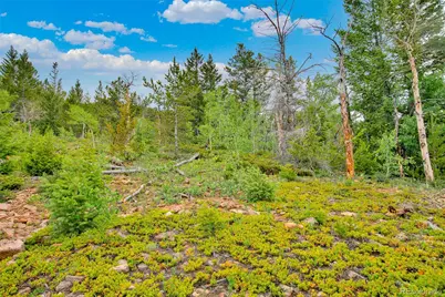 751 Lamb Mountain Road, Fairplay, CO 80440 - Photo 17