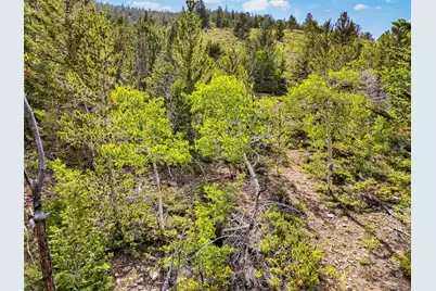 751 Lamb Mountain Road, Fairplay, CO 80440 - Photo 23