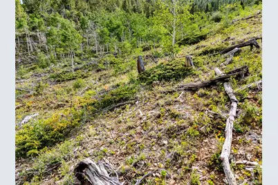 751 Lamb Mountain Road, Fairplay, CO 80440 - Photo 11