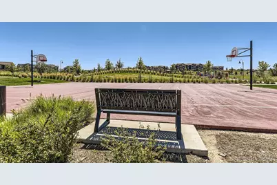 10164 Atlanta Street, Parker, CO 80134 - Photo 37