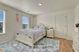 2249 Rosette Ln, Castle Rock, CO 80104 - Photo 33