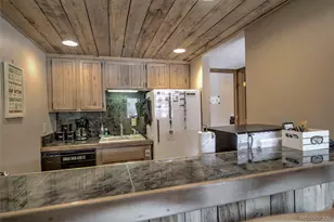600 South Park Avenue, Breckenridge, CO 80424 - Photo 19