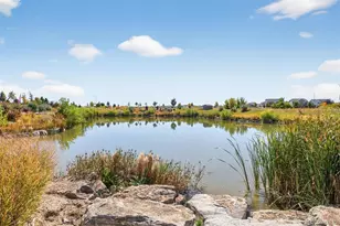 5136 N Quemoy Ct, Aurora, CO 80019 - Photo 35