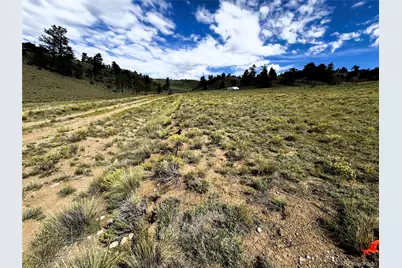 8390 Chickasaw Road, Hartsel, CO 80449 - Photo 15
