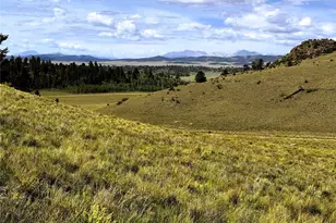 8390 Chickasaw Rd, Hartsel, CO 80449 - Photo 1