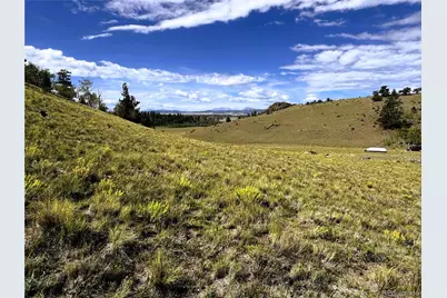 8390 Chickasaw Road, Hartsel, CO 80449 - Photo 13