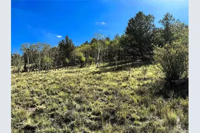 8390 Chickasaw Road, Hartsel, CO 80449 - Photo 3