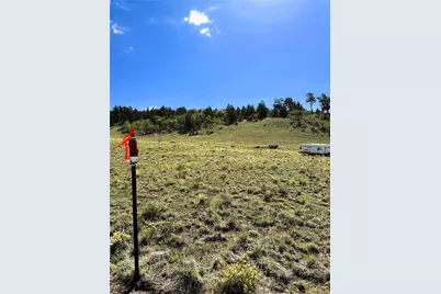 8390 Chickasaw Road, Hartsel, CO 80449 - Photo 11