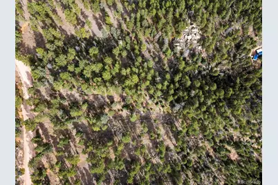 13948 Boulder Lane, Larkspur, CO 80118 - Photo 7