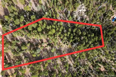 13948 Boulder Lane, Larkspur, CO 80118 - Photo 3