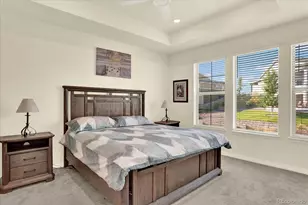 7810 Plateau Creek Ln, Littleton, CO 80125 - Photo 17