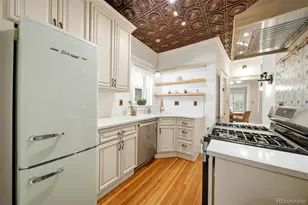 1746 N Franklin Street, Denver, CO 80218 - Photo 15