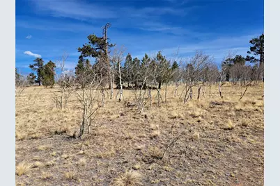 593 Pinto Trail, Como, CO 80432 - Photo 13