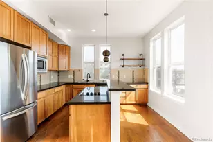 1738 N Franklin Street, Denver, CO 80218 - Photo 5
