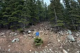 9208 Fall River Rd, Idaho Springs, CO 80452 - Photo 1
