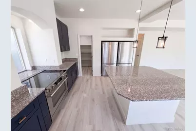 19036 Randolph Place, Denver, CO 80249 - Photo 15