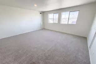19036 Randolph Pl, Denver, CO 80249 - Photo 29