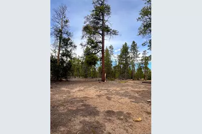 105 Fir Drive, Leadville, CO 80461 - Photo 9