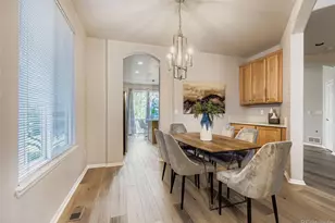 10726 Middlebury Way, Highlands Ranch, CO 80126 - Photo 5