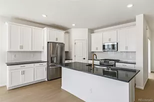 4371 Soapberry Pl, Castle Rock, CO 80108 - Photo 9