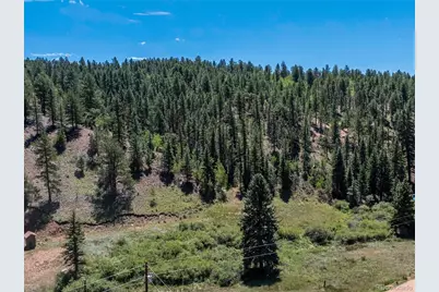 1676 Pathfinder Road, Florissant, CO 80816 - Photo 19