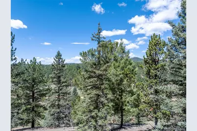 1676 Pathfinder Road, Florissant, CO 80816 - Photo 9