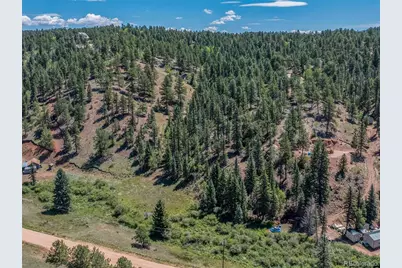 1676 Pathfinder Road, Florissant, CO 80816 - Photo 11