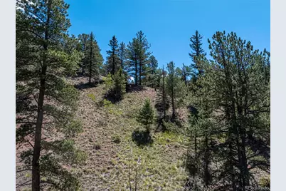 1676 Pathfinder Road, Florissant, CO 80816 - Photo 5