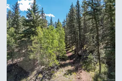 1676 Pathfinder Road, Florissant, CO 80816 - Photo 21