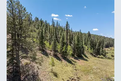 1676 Pathfinder Road, Florissant, CO 80816 - Photo 15