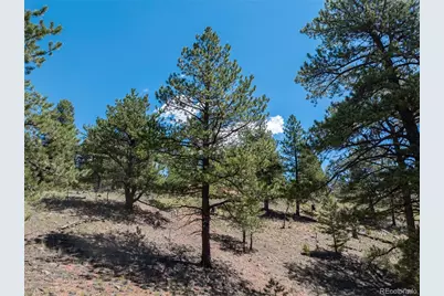 1676 Pathfinder Road, Florissant, CO 80816 - Photo 27