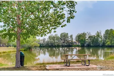 11481 Hot Springs, Longmont, CO 80504 - Photo 45