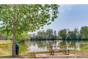 11481 Hot Springs, Longmont, CO 80504 - Photo 45