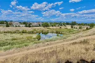 3876 Canyon Ranch Road, Littleton, CO 80126 - Photo 13