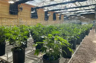 20520 Co Rd 59, Moffat, CO 81143 - Photo 7