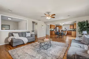 21518 E 48th Pl, Denver, CO 80249 - Photo 9