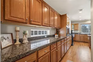 21518 E 48th Pl, Denver, CO 80249 - Photo 19