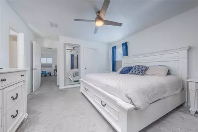 4761 Native Birch Lane, Castle Rock, CO 80104 - Photo 25