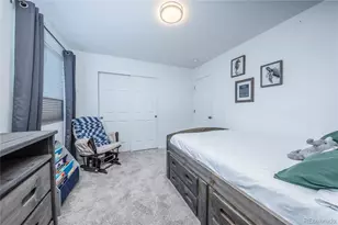 4761 Native Birch Ln, Castle Rock, CO 80104 - Photo 29