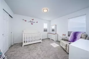4761 Native Birch Ln, Castle Rock, CO 80104 - Photo 31