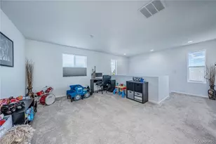 4761 Native Birch Ln, Castle Rock, CO 80104 - Photo 21