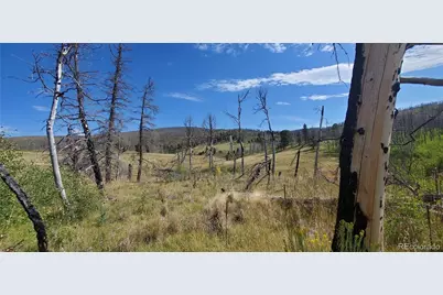 1547 Cary Lane, Fort Garland, CO 81133 - Photo 11