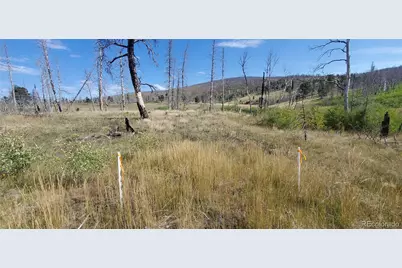 1547 Cary Lane, Fort Garland, CO 81133 - Photo 9