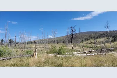 1547 Cary Lane, Fort Garland, CO 81133 - Photo 3